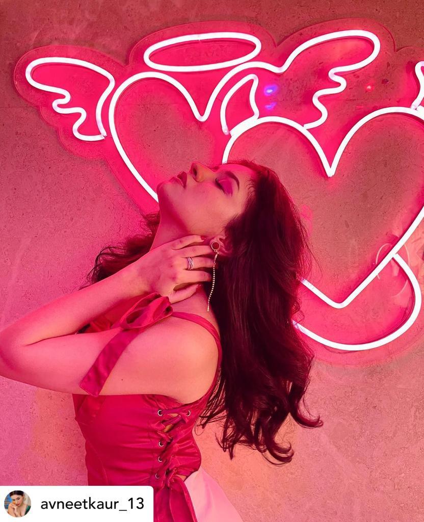 Show Off - Pink - Image 3